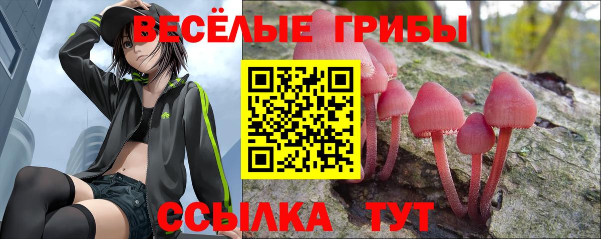 Псилоцибиновые грибы мицелий Минусинск
