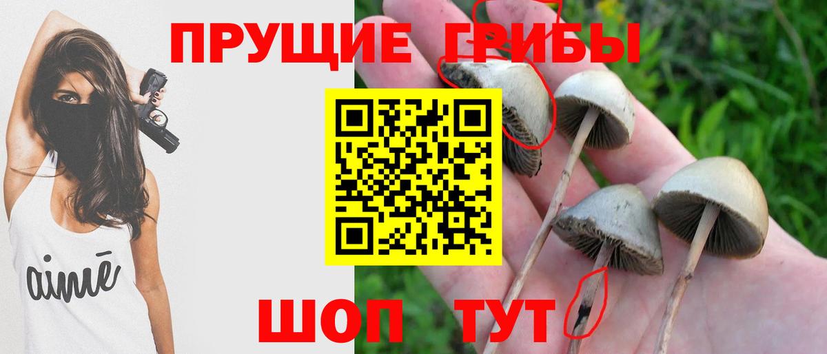 Галлюциногенные грибы Cubensis  Галлюциногенные грибы GOLDEN TEACHER  Минусинск  Вход с VPN 
